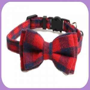 Collar-227